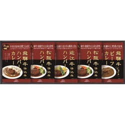 HBK-35 [飛騨高山ファクトリー 松阪牛・近江牛・飛騨牛仕込み ハンバーグ＆カレー詰合せ]