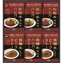 HBK-40 [飛騨高山ファクトリー 松阪牛・近江牛・飛騨牛仕込み ハンバーグ＆カレー詰合せ]