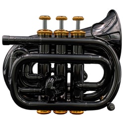 ヨドバシ.com - キャロルブラス CarolBrass B♭ミニ・ポケットトランペット N1000 BLACK イエローブラスベル  ブラックニッケル仕上げ・ソフトバック付き 3814003 通販【全品無料配達】