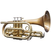 B♭コルネット N3000 GB SATIN-BELL ゴールドブラスベル ベル部サテンラッカー仕上げ・バックパックケース付き 03830311S