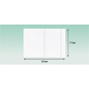 PA-055T [パピルス デリバリーパック 4方溶着タイプ 上PEスリット（A5サイズ用）175×260 100枚入 全面糊]