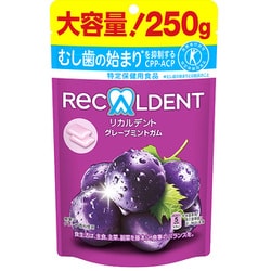 リカルデント グレープミントガム スタンドパウチ 250g