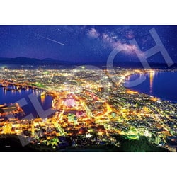 06-309s 日本風景 光輝く函館夜景 （北海道） [ジグソーパズル 500ピース]