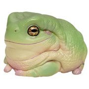 アニマルプラネット イエアメガエル [塗装済完成品フィギュア]
