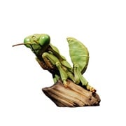 アニマルプラネット カマキリ [塗装済完成品フィギュア]
