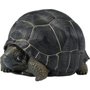 動物の惑星】ケヅメリクガメ♀ フィギュア : インセクテック動物