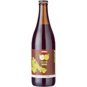 アデカ梨サワーエール ブラック 5度 500ml [ビール]