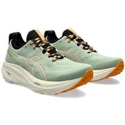 ゲルニンバス26ティーアール GEL-NIMBUS 26 TR 1011B849 250 NATURE BATHING/FELLOW YELLOW 28cm [トレイルランニングシューズ メンズ]