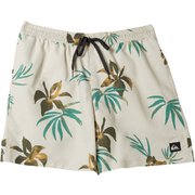 EVERYDAY MIX VOLLEY 19 AQYJV03148 TFD6 XLサイズ [マリンスポーツ サーフパンツ メンズ]