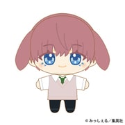 誰か夢だと言ってくれ ぬいパル 朝日奈 雨竜 [キャラクターグッズ]