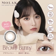 ブラウンバニー ワンデー 10枚入 -6.00 [カラーコンタクトレンズ]