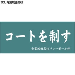ヨドバシ.com - KOKKA D713-049 ハイキュー！！ 横断幕スポーツタオル 