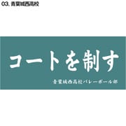 D713-049 ハイキュー！！ 横断幕スポーツタオル 青葉城西 [キャラクターグッズ]