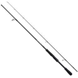 シーバスロッド 21 ディアルーナ BS S66ML
