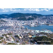 300-394 シリーズ・日本の都市38 長崎県長崎市「稲佐山から見る長崎市全域」 [ジグソーパズル 300ピース]