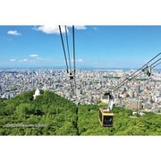 300-396 シリーズ・日本の都市40 北海道札幌市「藻岩山から見る札幌市街地」 [ジグソーパズル 300ピース]