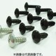 タッピングスクリュー 汎用 100個入 TSU-02-100