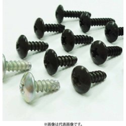 タッピングスクリュー SUZUKI 10個入 TSS-002-10
