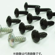 タッピングスクリュー SUZUKI 10個入 TSS-005-10