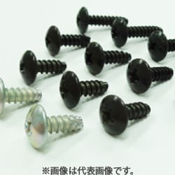 タッピングスクリュー SUZUKI 10個入 TSS-009-10