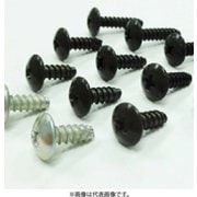 タッピングスクリュー SUZUKI 10個入 TSS-011-10
