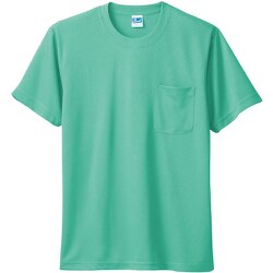 50121-101-3L [50121 半袖Tシャツ（胸ポケット付き） ミントグリーン 3L]