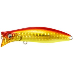 KIRINJI 70 GG アカキンCB [ポッパー]