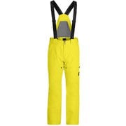 デアパンツ DARE PANTS 38SA125314 ACID YELLOW Lサイズ [スキーウェア パンツ メンズ]