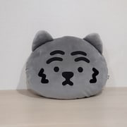 211 MUZIK TIGER クッション 黒虎 [キャラクターグッズ]