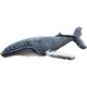 2432 COLLECTA ぬいぐるみ ザオウクジラ [キャラクターグッズ]