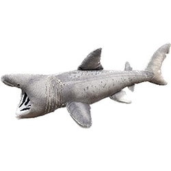 2436 COLLECTA ぬいぐるみ ウバザメ [キャラクターグッズ]