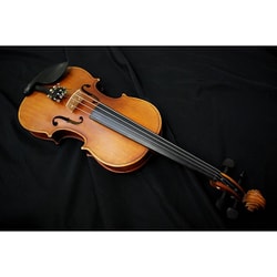 ヨドバシ.com - ハルシュタット Hallstatt V-12 [ヴァイオリン 4/4 ...