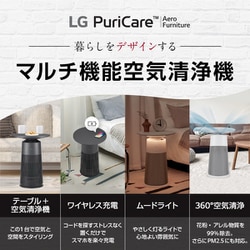 ☆美品　LG　マルチ機能空気清浄機　PuriCare AeroFurniture LG マルチ機能空気清浄機 PuriCare AeroFurniture」の人気商品