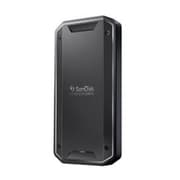 外付けSDD ポータブル PRO-G40 SSD 4TB Thunderbolt 3(40Gbps)/USB-C(10Gbps)対応 5年保証 SDPS31H-004T-GBC1D