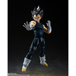 ヨドバシ.com - バンダイスピリッツ S.H.Figuarts（フィギュ