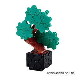 FSQ vp#2 De la Rocha 株分品 P.FSQ De La Rocha VP#2 OC 子株