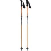 フリーFAST-α 205081 ORG 95-120cm 2本セット [スキー ストック 伸縮式]