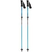 フリーFAST-α 205083 SKY 95-120cm 2本セット [スキー ストック 伸縮式]