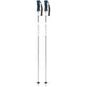 イーグル 305173 シルバー 115cm [スキー ストック]