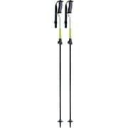 アラベルTLグラス KPBD-9000 グリーン 100-125cm 2本セット [スキー ストック 伸縮式]