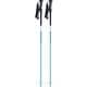チームカーボン スキー ストック ナイルブルー(NBL) 105cm 2本セット KPBD-0060
