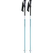 チームカーボン スキー ストック ナイルブルー(NBL) 115cm 2本セット KPBD-0060