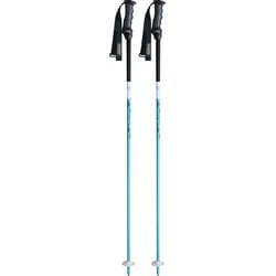 チームカーボン スキー ストック ナイルブルー(NBL) 117cm 2本セット KPBD-0060
