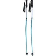 レーシングGS KPBD-0093 ナイルブルー 125cm 2本セット [スキー ストック レーシング]