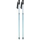 レーシングSL KPBD-0090 ナイルブルー 110cm 2本セット [スキー ストック レーシング]
