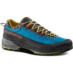 トラバース 4 EVO GTX TX4 EVO GTX 37D 614735 トロピックブルー/バンブー EU44(27.9cm) [ハイキングシューズ メンズ]