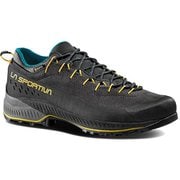 トラバース 4 EVO GTX TX4 EVO GTX 37D 900735 カーボン/バンブー EU39(24.9cm) [ハイキングシューズ メンズ]