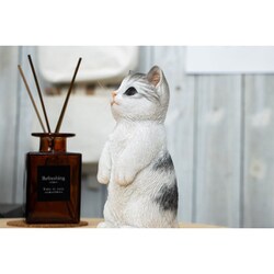 ヨドバシ.com - ベニーズ Benny's ベニーズキャット立っち（茶