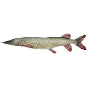 ソフトクッション PIKE パイク 195 Y-0506