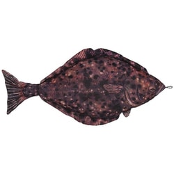 ソフトクッション HALIBUT ハリバット 105 Y-0507